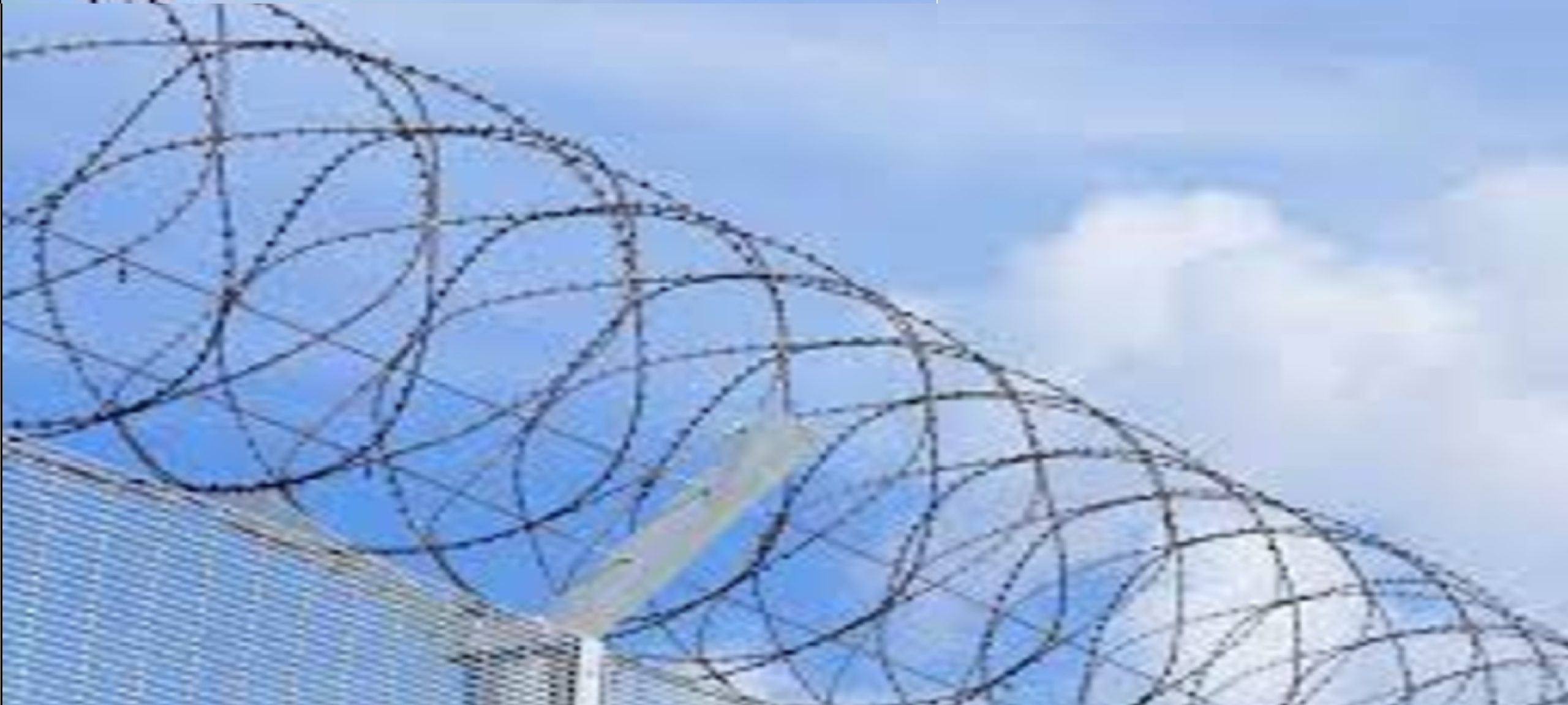 Barbed Razor Concertina Wire installation services in Dubai