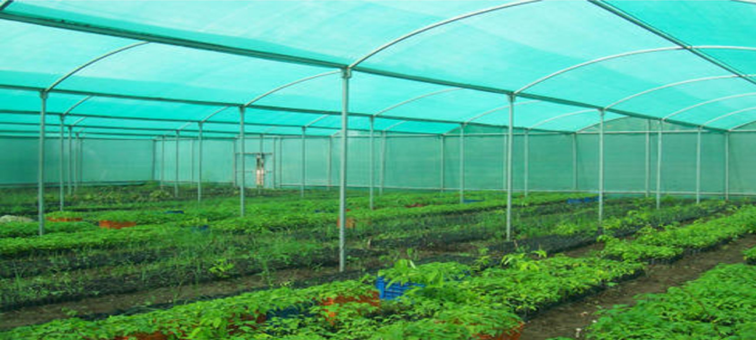 Best Shade Net Installation Services in Dubai