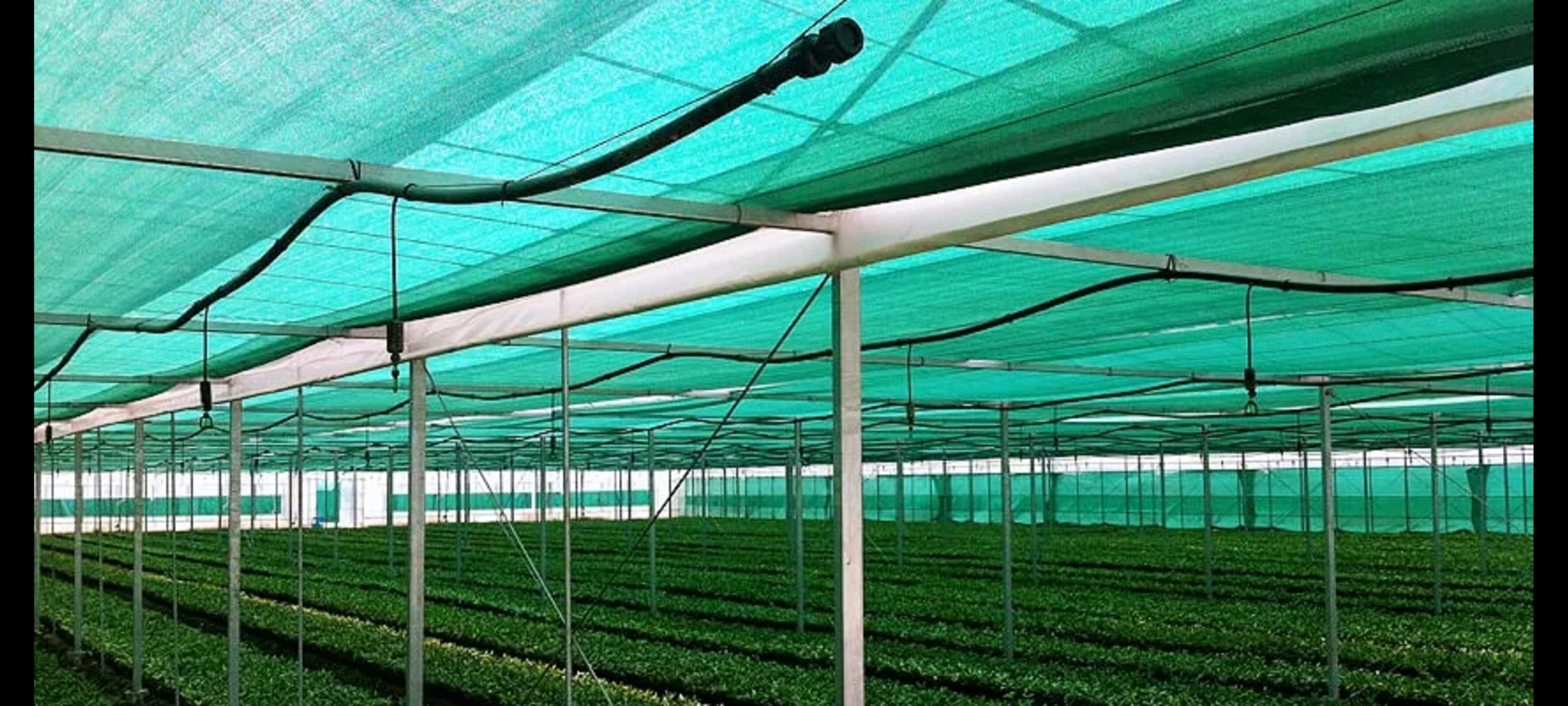 best-shade-net-installation-services-in-abu-dhabi (1) best-shade-net-installation-services-in-abu-dhabi