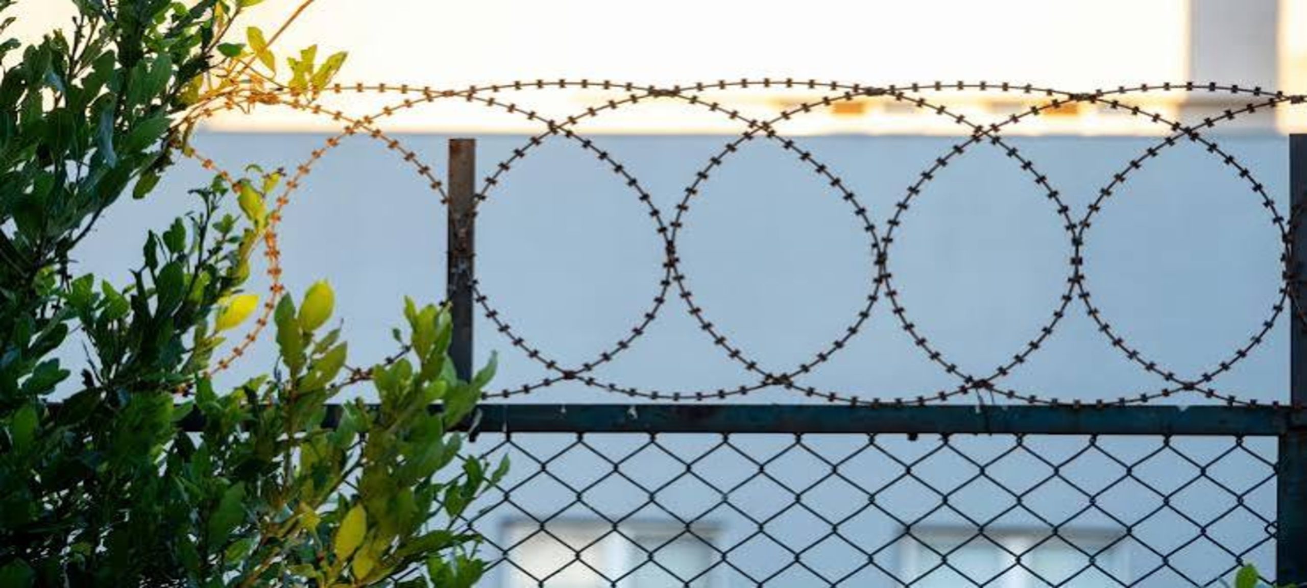 Double Wire Fence Supplier in UAE